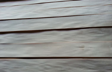 크라운 커트 곡물을 가진 장식적인 자연적인 박달나무 베니어 합판