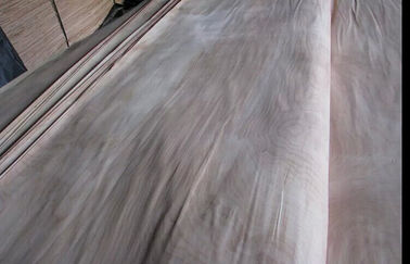 자연적인 회전하는 커트 박달나무 절단 목제 베니어 가구를 위한 급료