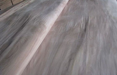자연적인 회전하는 커트 박달나무 절단 목제 베니어 가구를 위한 급료