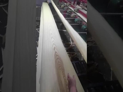 미국 흰재 베니어판