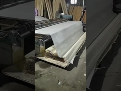 천연 나무 로터리 컷 화이트 버치 베니어 시트