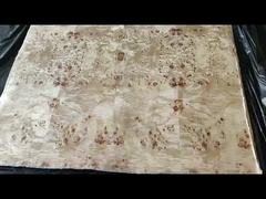 포플러 펄 플리네어 A 등급