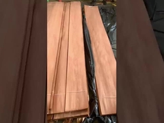 사펠리 크라운 커트 포니어