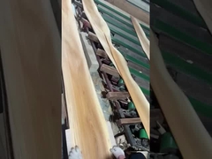 엘름 플레니어 크라운 커트