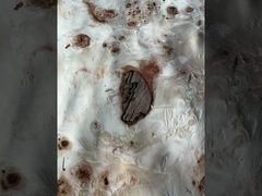 맵파 펄 페니어