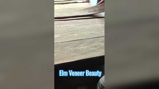 느릅나무 크라운 컷 베니어