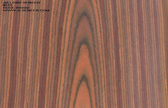합판에 의하여 설계되는 목제 베니어, 로즈 나무로 되는 베니어 장