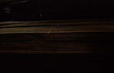 가구와 합판을 위한 자연적인 흑단 내무반 커트 베니어
