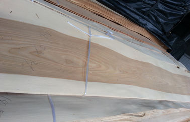 설계되는 Prefinished 구조상 자연적인 얇은 박달나무 나무 베니어