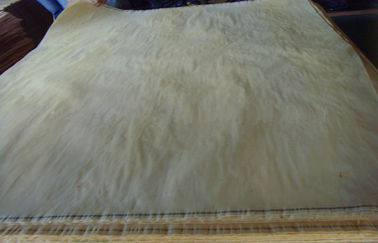 백색/브라운 박달나무 회전하는 커트 목제 베니어, 누비질된 단풍나무 베니어