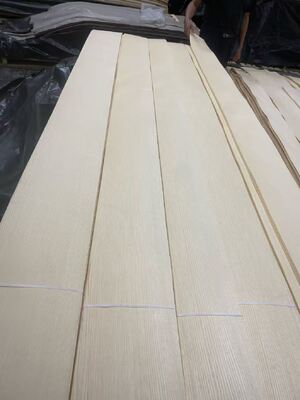 2500*640mm 침실 가구 TV 배경 벽에 Ash 목재 장단