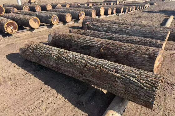 오크 플리네어 시트 크론 곡물 패턴 0.2-0.6mm 두께와 1220mm까지의 폭으로 가구 및 장식용